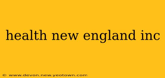 health new england inc