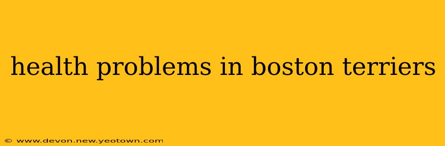 health problems in boston terriers
