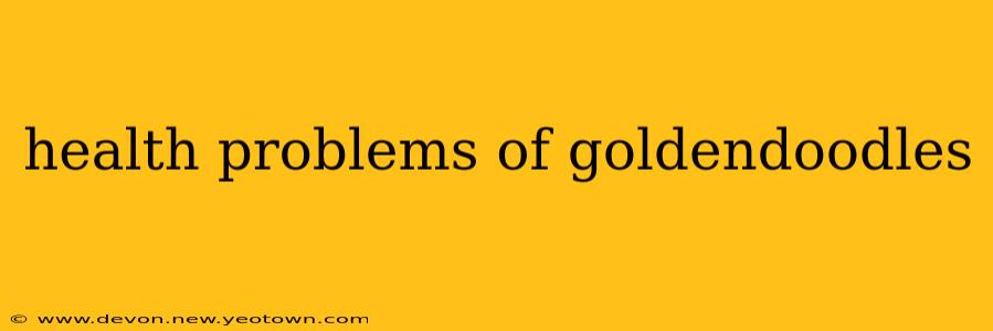 health problems of goldendoodles