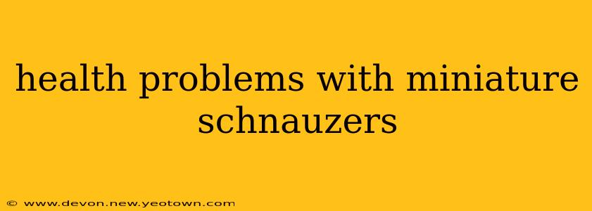 health problems with miniature schnauzers