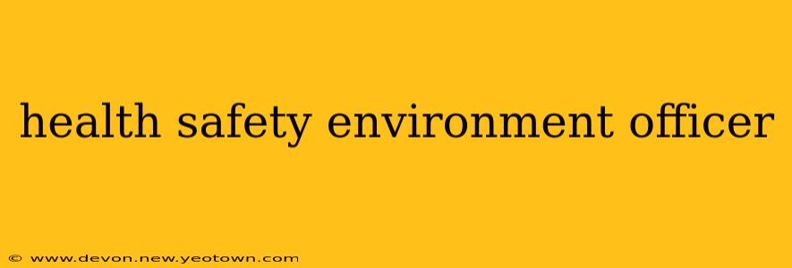 health safety environment officer