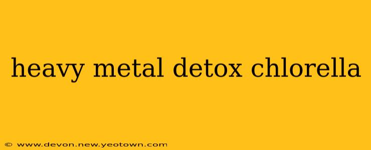 heavy metal detox chlorella
