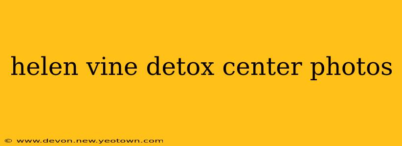 helen vine detox center photos
