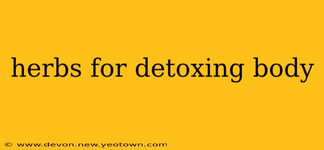 herbs for detoxing body