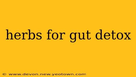 herbs for gut detox