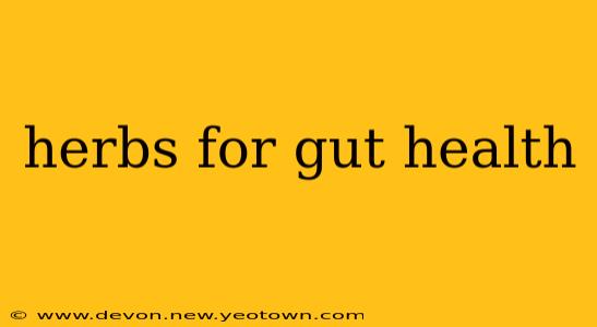 herbs for gut health