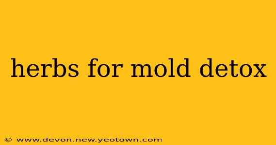 herbs for mold detox