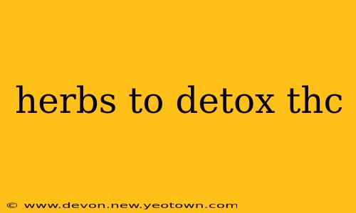 herbs to detox thc