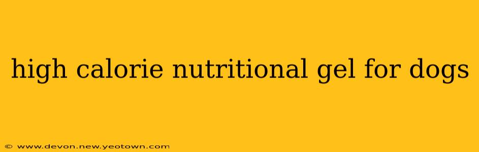 high calorie nutritional gel for dogs