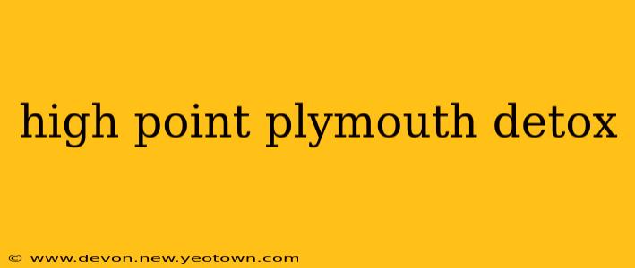 high point plymouth detox