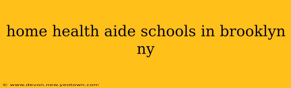 home health aide schools in brooklyn ny