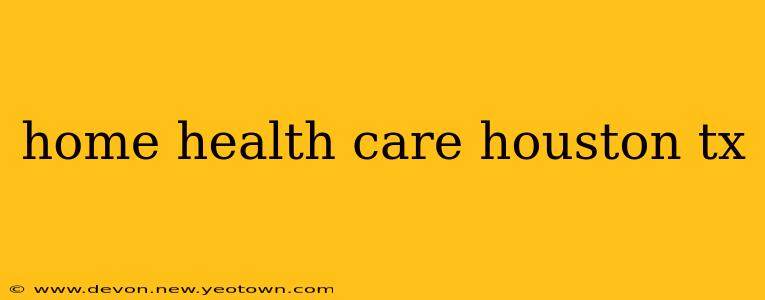 home health care houston tx