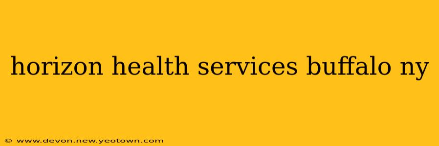 horizon health services buffalo ny