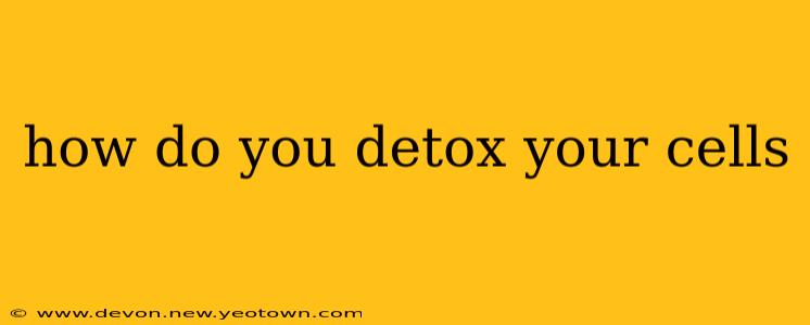 how do you detox your cells
