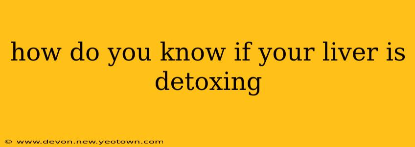 how do you know if your liver is detoxing