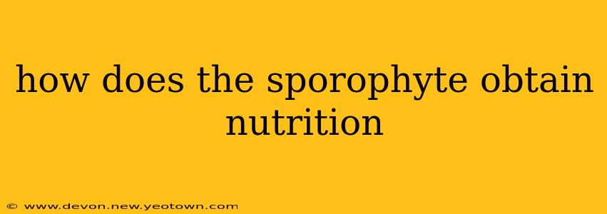 how does the sporophyte obtain nutrition
