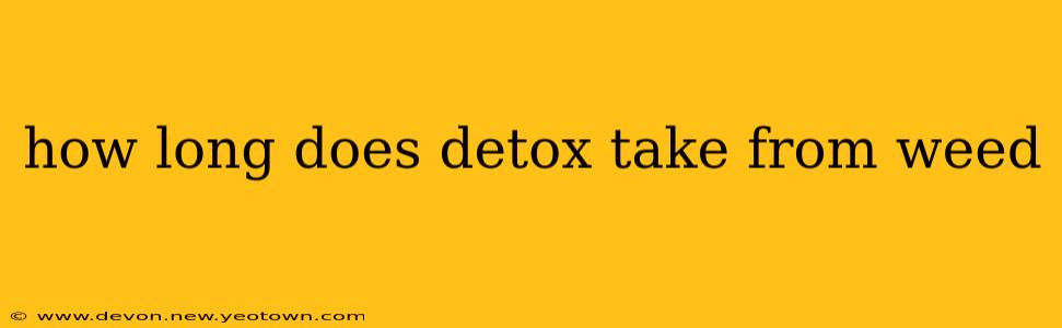 how long does detox take from weed