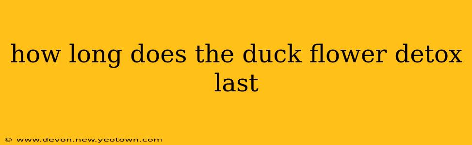 how long does the duck flower detox last