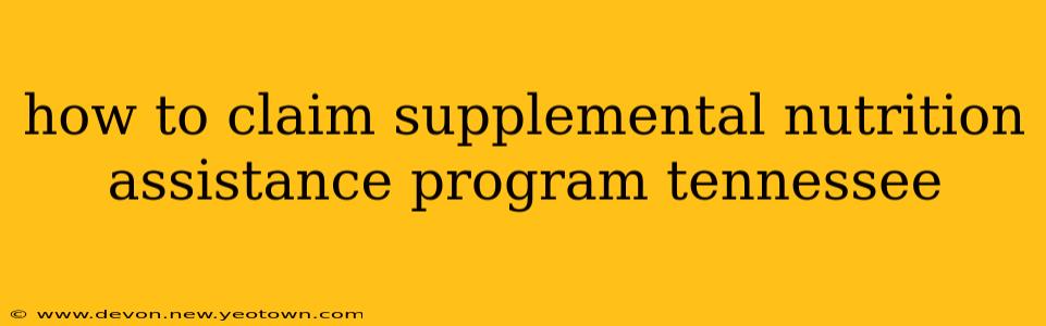 how to claim supplemental nutrition assistance program tennessee