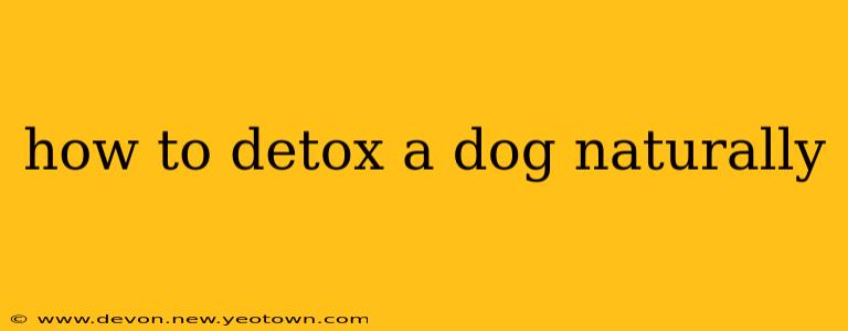 how to detox a dog naturally