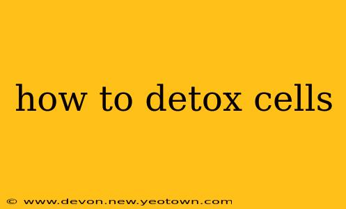 how to detox cells