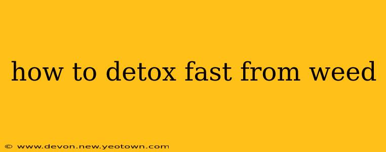 how to detox fast from weed