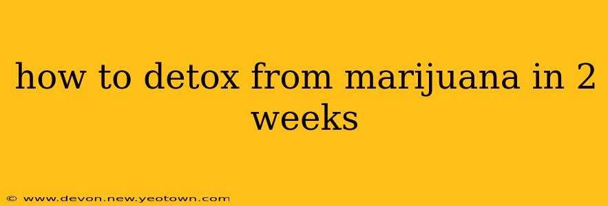 how to detox from marijuana in 2 weeks