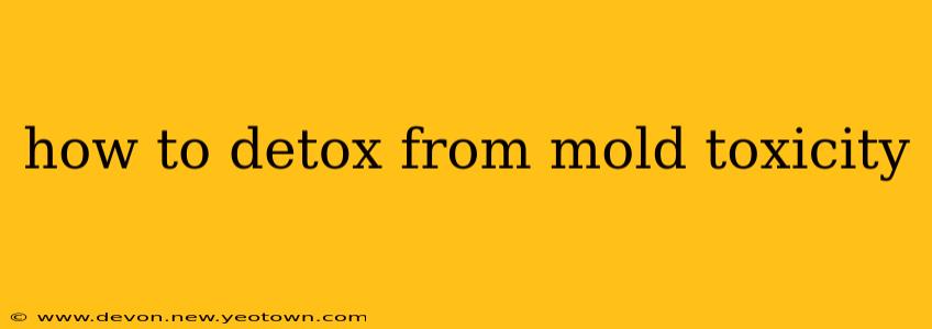how to detox from mold toxicity
