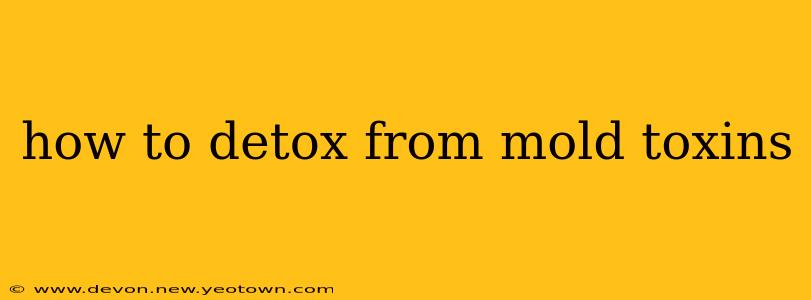 how to detox from mold toxins