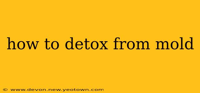 how to detox from mold