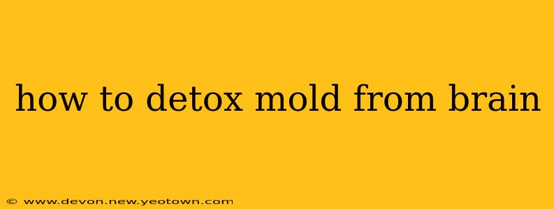 how to detox mold from brain