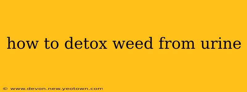 how to detox weed from urine