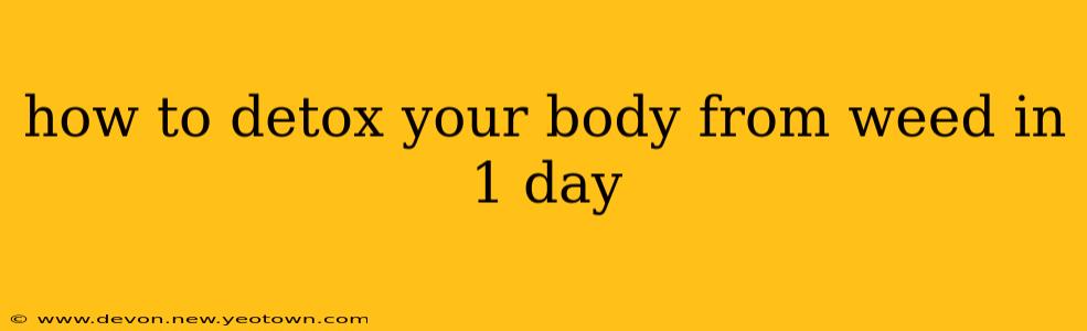 how to detox your body from weed in 1 day