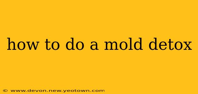 how to do a mold detox