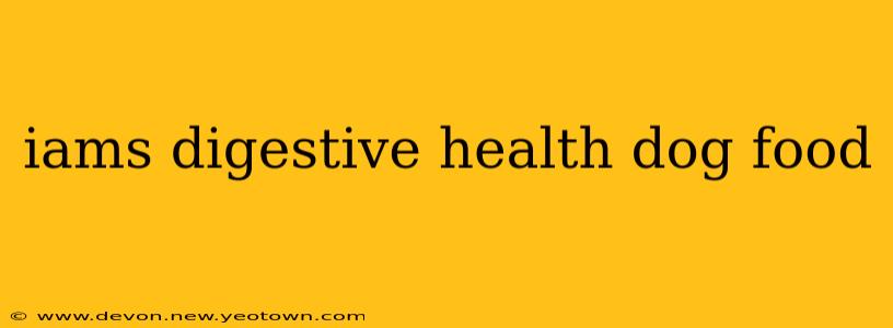 iams digestive health dog food
