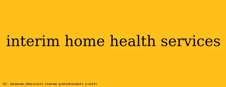 interim home health services