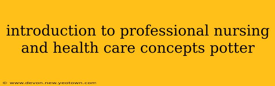 introduction to professional nursing and health care concepts potter