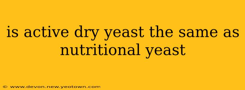 is active dry yeast the same as nutritional yeast