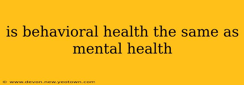 is behavioral health the same as mental health