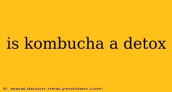 is kombucha a detox
