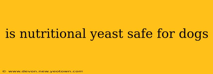is nutritional yeast safe for dogs