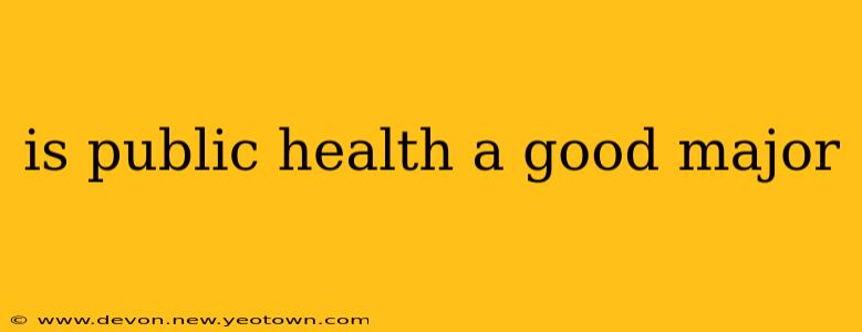 is public health a good major