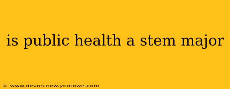 is public health a stem major