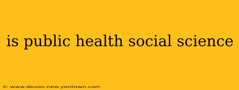 is public health social science