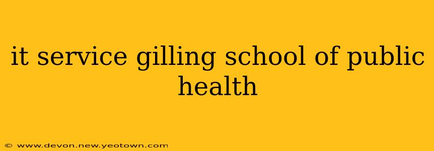 it service gilling school of public health