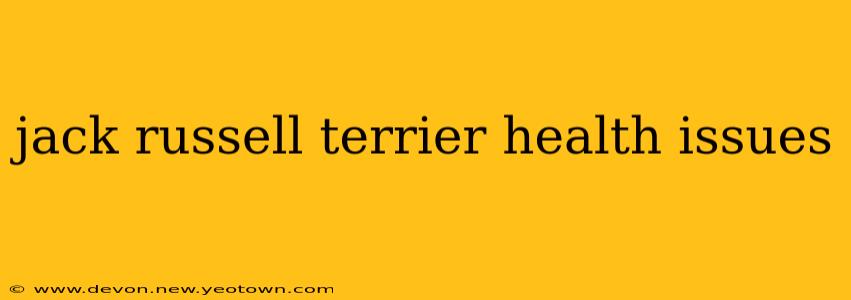 jack russell terrier health issues