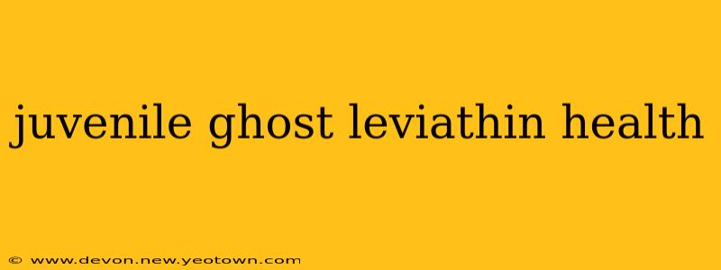 juvenile ghost leviathin health