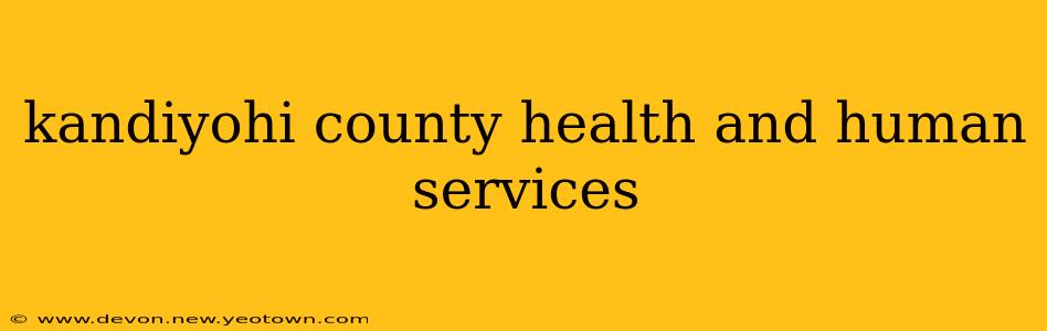 kandiyohi county health and human services