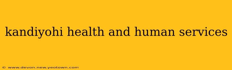 kandiyohi health and human services