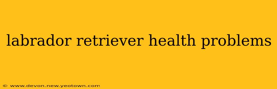 labrador retriever health problems